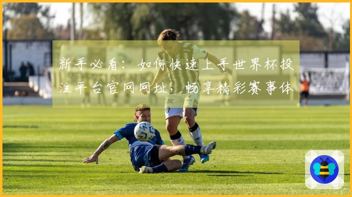 新手必看：如何快速上手世界杯投注平台官网网址，畅享精彩赛事体验