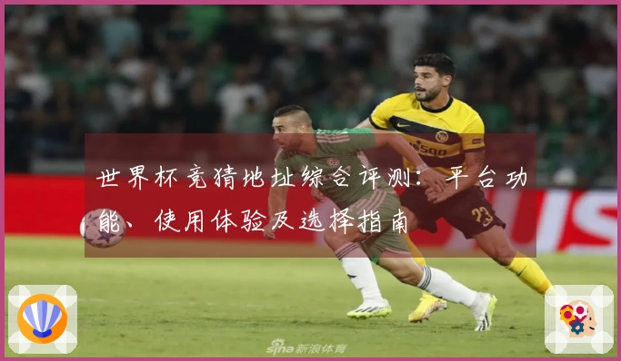 世界杯竞猜地址综合评测：平台功能、使用体验及选择指南