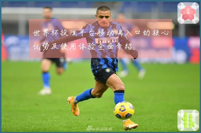 世界杯投注平台移动端入口的核心优势及使用体验全面介绍