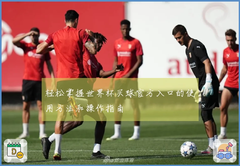 轻松掌握世界杯买球官方入口的使用方法和操作指南