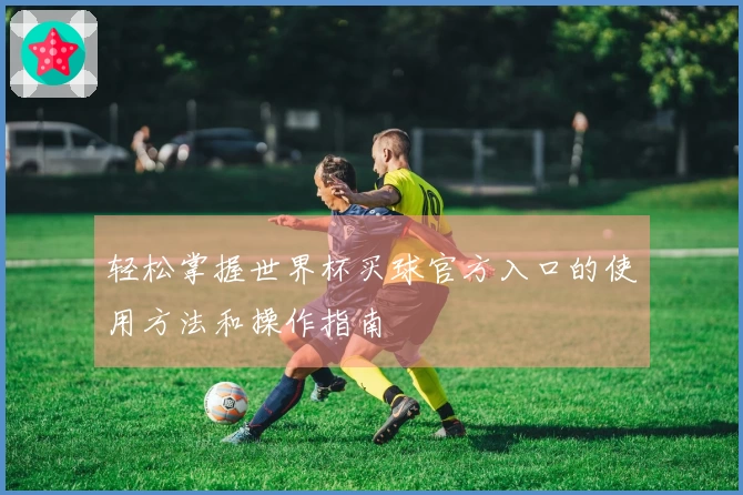 轻松掌握世界杯买球官方入口的使用方法和操作指南